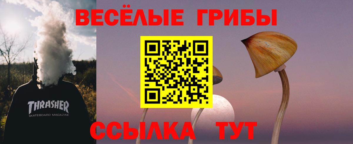 Владивосток  Псилоцибиновые грибы мицелий  Псилоцибиновые грибы Magic Shrooms  Вход с VPN 